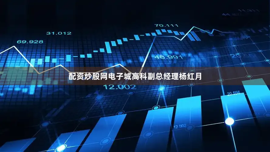 配资炒股网电子城高科副总经理杨红月