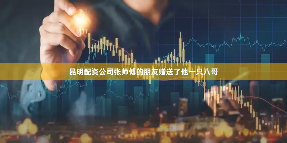 昆明配资公司张师傅的朋友赠送了他一只八哥