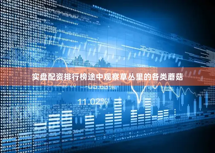 实盘配资排行榜途中观察草丛里的各类蘑菇