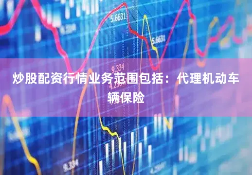 炒股配资行情业务范围包括：代理机动车辆保险